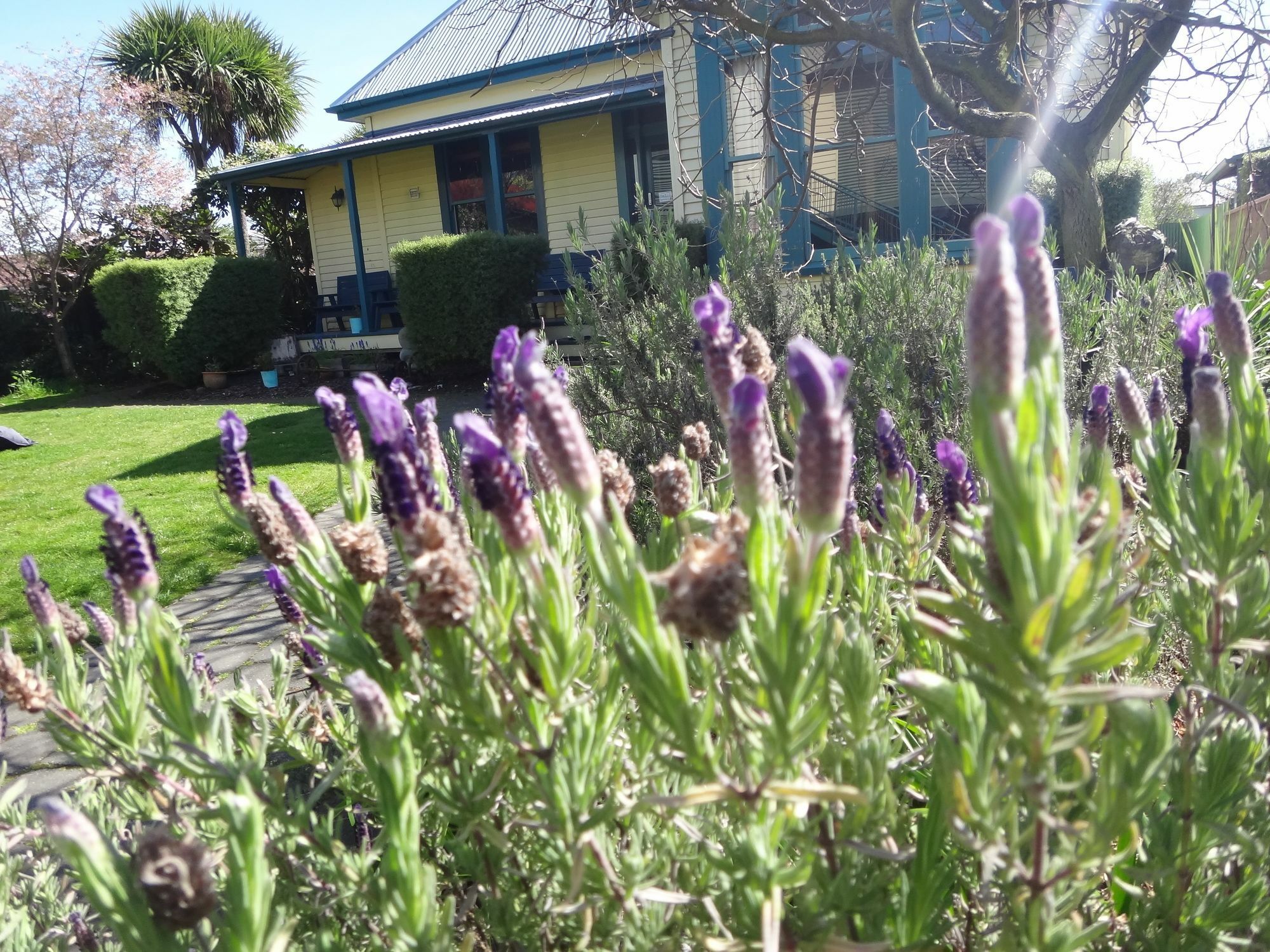 The Old Countryhouse Christchurch Exteriér fotografie